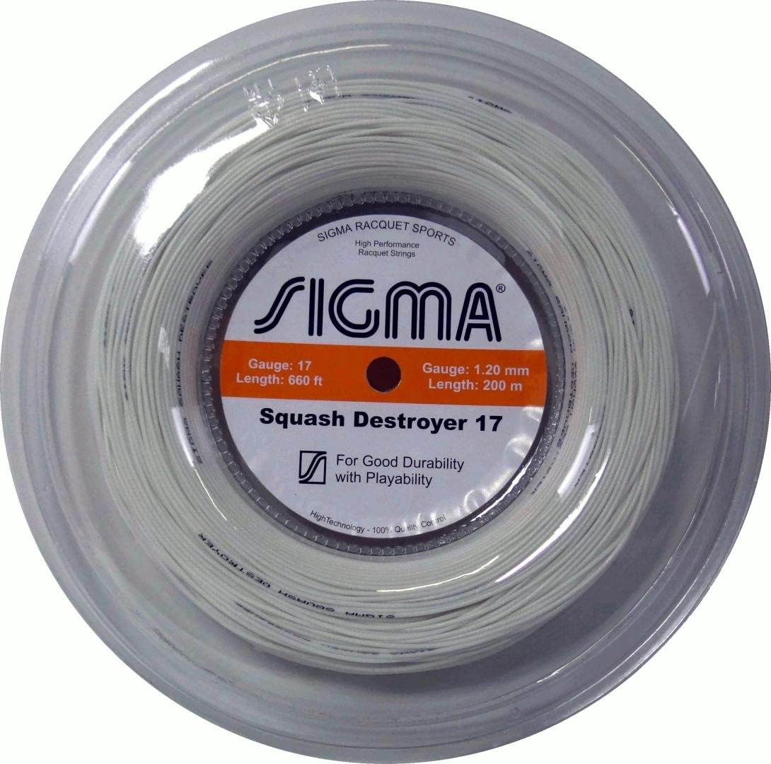 Sigma Squash Destroyer